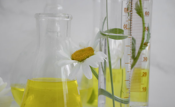 实验室烧瓶洋甘菊花在一个明亮的背景图片下载