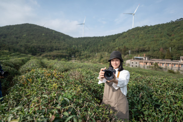 茶叶树图片下载