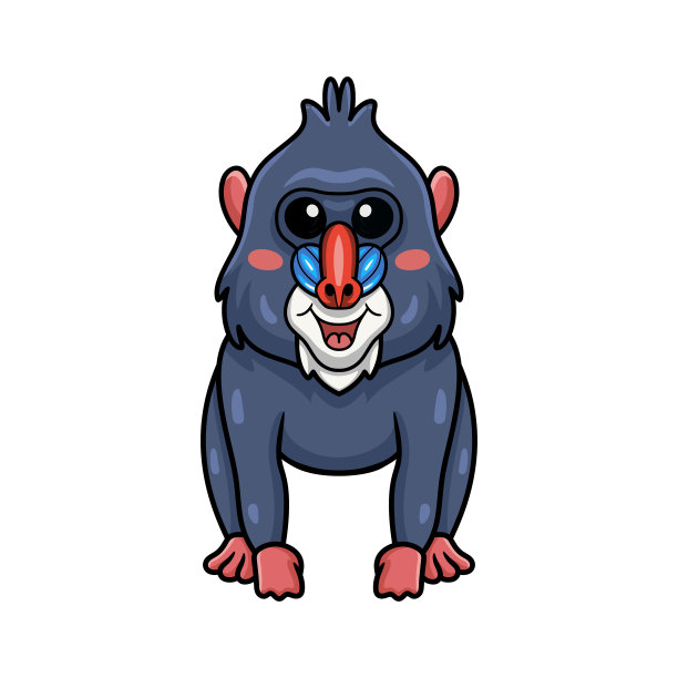 可爱的小山魈摆姿势图片下载