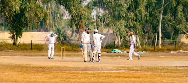 在运动场打板球的运动员图片下载