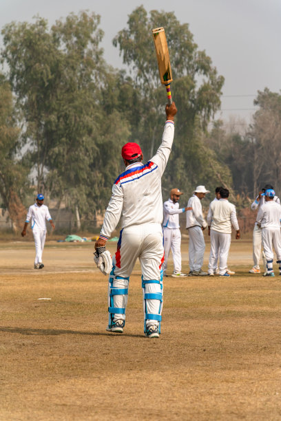 在比赛场上的板球队图片下载