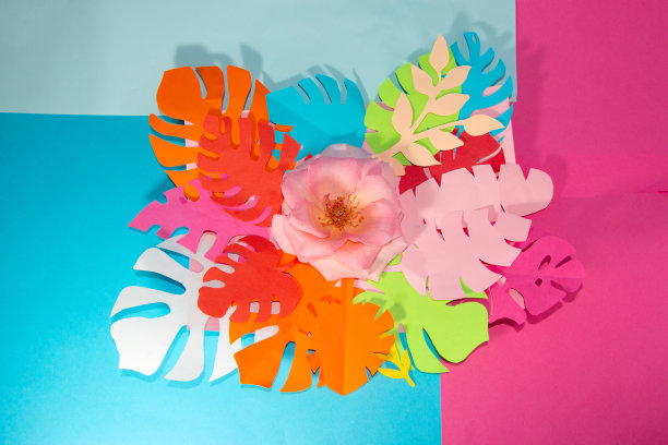 粉红玫瑰在丛林五彩缤纷的叶子，美丽的田园照片，蓝粉色的背景，浪漫的热带概念图片下载