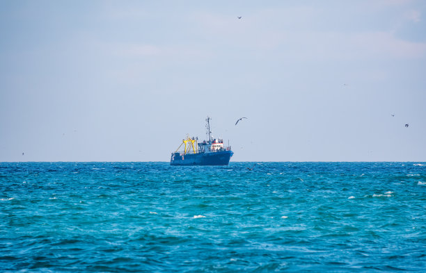 渔船在蔚蓝的大海和晴朗的天空，鸟儿在头顶飞翔。图片下载