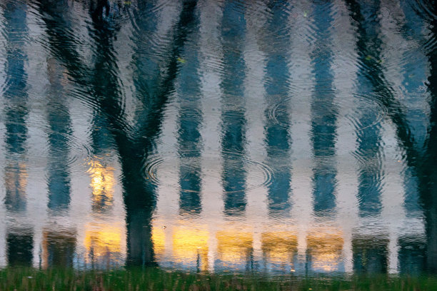 树木和建筑的抽象反映图片下载