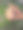 女性的美甲与柔和的颜色和一个分支的设计与叶子的背景上的绿色植物。方钉是绿色、灰色和米色，带有细枝图案和金色亮片。图片下载