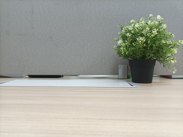 桌面植物图片下载