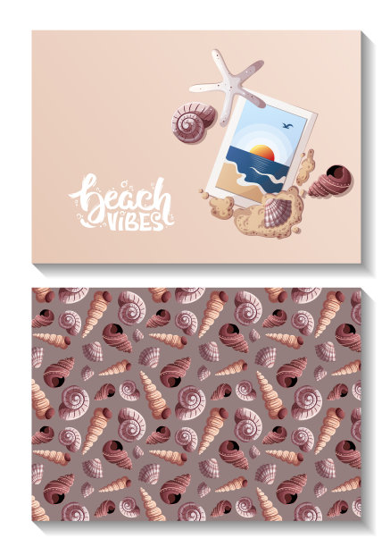 夏日海滨摄影卡套，沙滩，贝壳，沙滩。图片下载