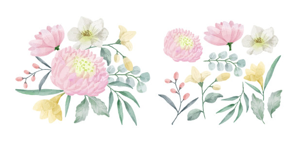 水彩画的一套花图片下载