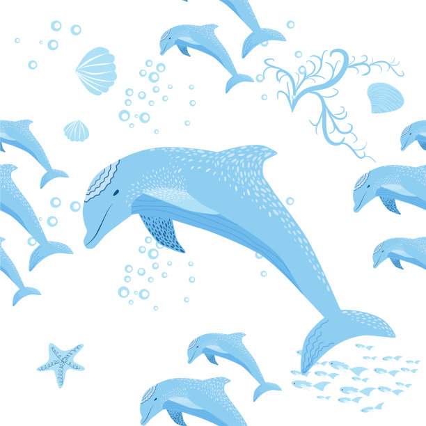 海豚栖息于海中天衣无缝图片下载