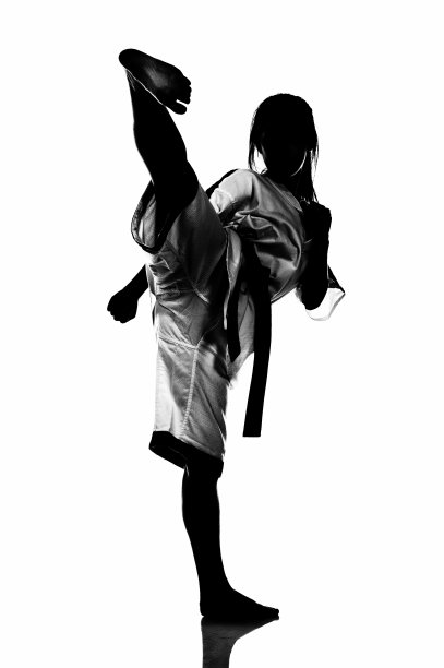 武术中的灵活性和力量图片下载