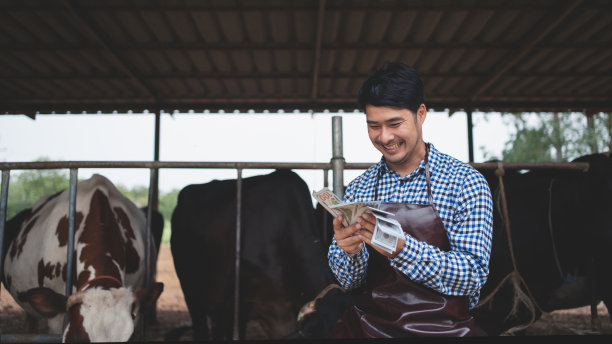 微笑快乐的农民从奶牛场获得收入。农业、畜牧业概念，奶牛在奶牛场吃草。图片下载