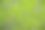 苔藓在土壤纹理抽象背景图片下载