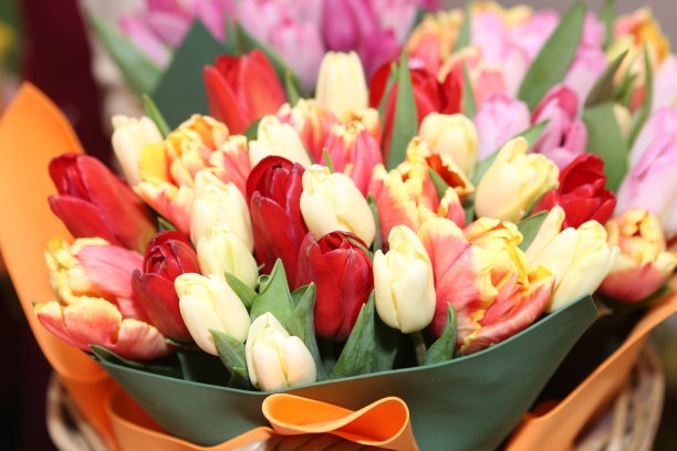 彩色郁金香花束，三八妇女节礼物，节日春季装饰图片下载