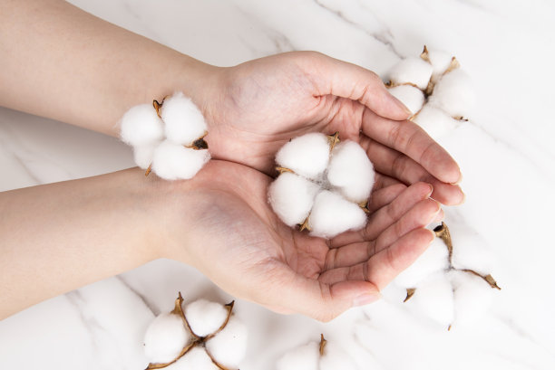 手运动图片下载