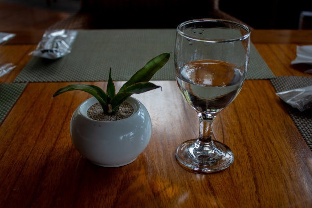 盆栽和玻璃杯图片下载