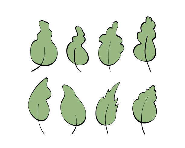 一组绿叶手绘元素为图片下载