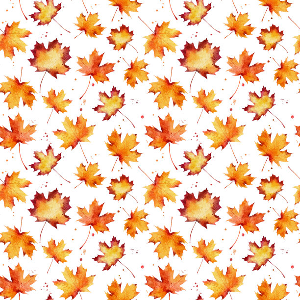 水彩无缝图案与秋天枫叶孤立在白色背景。图片下载