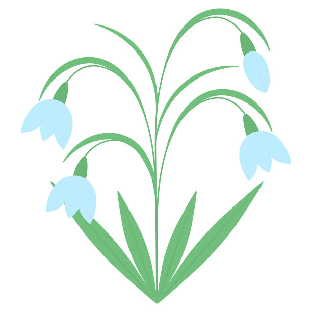 雪花莲。春天的气味。颜色向量插图。蓝芽。有绿叶的精致植物。平的风格。图片下载