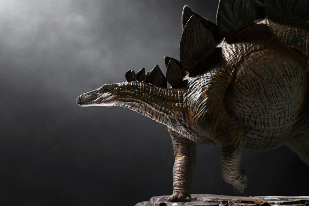 黑色背景上是恐龙和剑龙图片下载