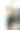 年轻开朗的女人站在自家花园里的肖像。图片下载