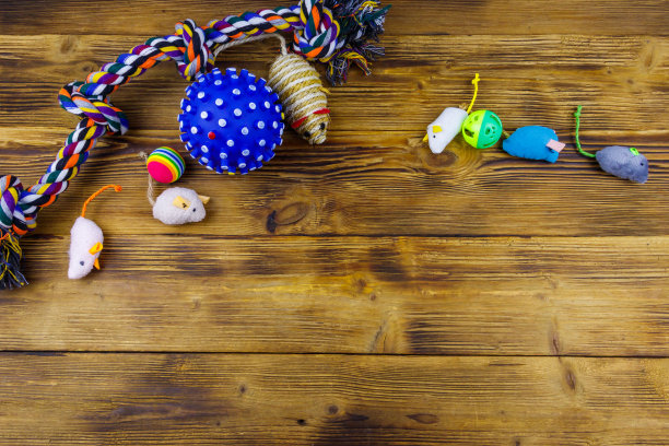 木背景猫狗玩具俯视图图片下载