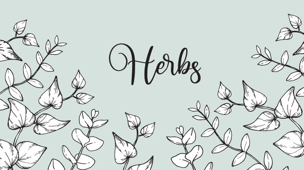 豪华的植物背景与时尚的野花和草本植物，桉树叶。手绘图形，优雅的叶子邀请，保存日期卡。植物图片下载