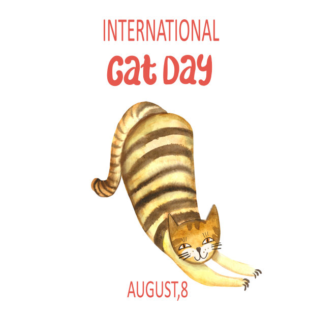 条纹猫，水彩插图，与铭文国际猫日，8月8日。图片下载