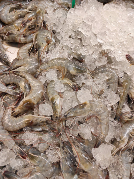 生虾汤照片图片下载