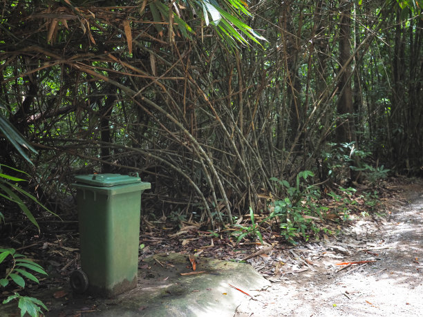 竹林公园里的老绿垃圾。图片下载