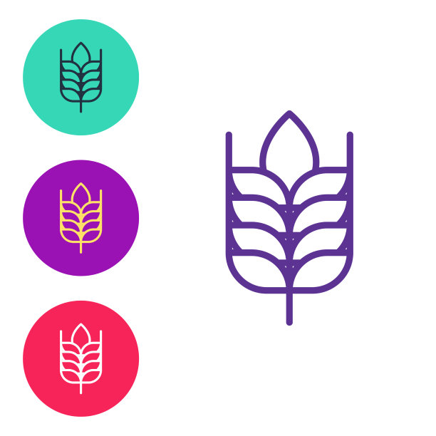 以大米、小麦、玉米、燕麦等为原料图片下载