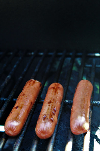 免版税照片-仅仅三烤热狗-最好的野餐食物背景广告文案，广告，网页，食品博客或营销-三个热狗准备从后院烧烤烧烤-野餐肉烧烤-狗狗图片下载