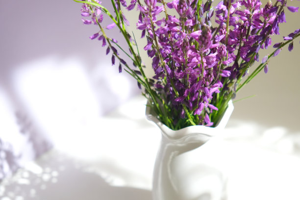 浴室里白色的架子上放着一束紫色的野花，白色的花瓶，白色的铃花。图片下载