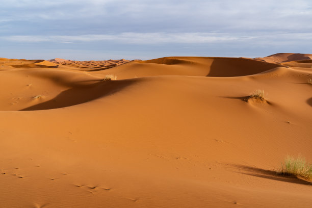 摩洛哥梅佐加沙漠的橙色沙丘和多云的天空。图片下载