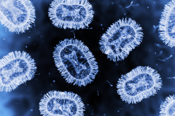 猴痘。病毒。显微镜幻灯片图片下载