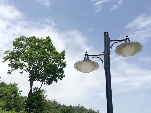 公共公园的路灯和自然背景图片下载