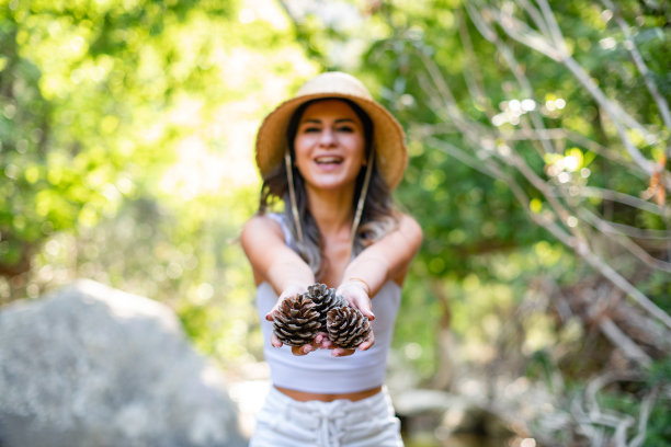 年轻女子在森林里收集松果图片下载