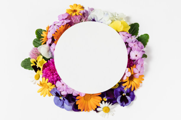 春夏五彩缤纷的花朵边框在白色的背景。平面布局，文本复制空间，俯视图。圆花环模型。图片下载