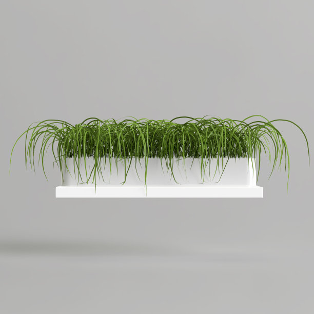 3d插图草在白色盆栽孤立在白色背景图片下载
