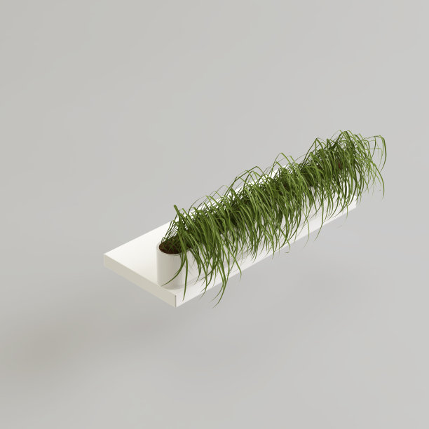 3d插图草在白色盆栽孤立在白色背景图片下载