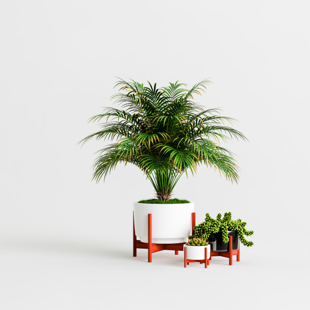 室内植物收集孤立在白色背景的3d插图图片下载