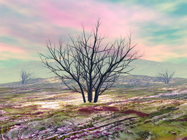 沙漠中的死灌木- 3D渲染图片下载