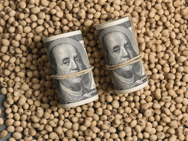 美元纸币和硬币以及大豆、油质商品的价值观念。图片下载