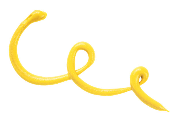 蜂蜜芥末酱孤立在白色背景，俯视图。芥末酱汁飞溅。图片下载