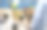 男子在超市购买新鲜的鱼和海鲜图片下载