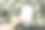 女人手里握着空白的问候、名片。花园里，果园里盛开的白色苹果树。春季婚礼文具模型。生日celeberation。碎花静物，模糊背景。图片下载
