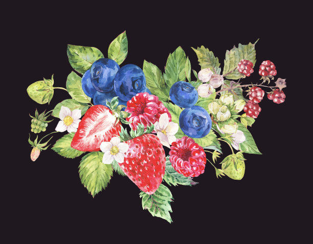 水彩夏天浆果贺卡。水果，草莓，蓝莓孤立在黑色背景。手绘植物插图。图片下载
