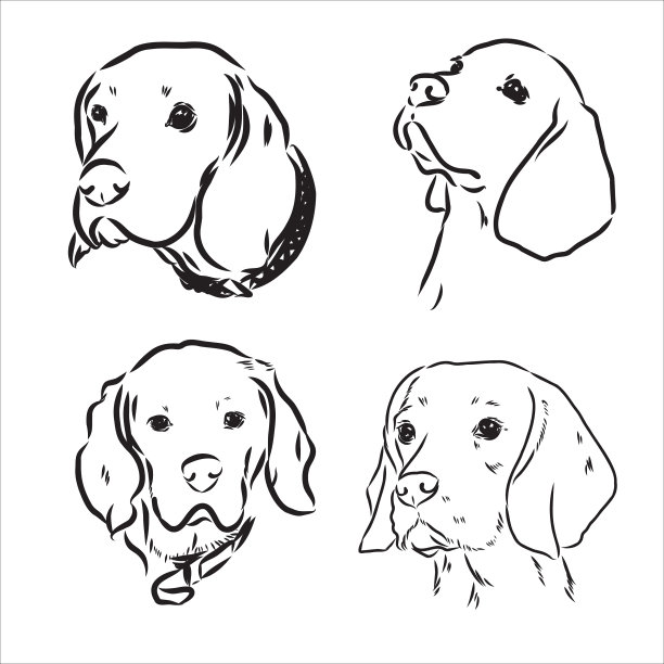 可爱的小猎犬狗的素描图片下载