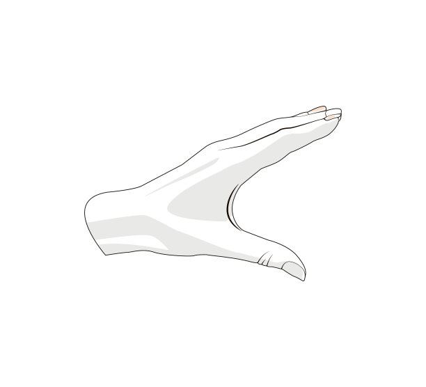 手显大尺寸。手的姿势。图片下载