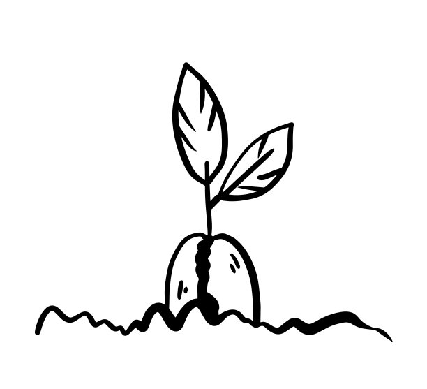 咖啡豆种子矢量涂鸦涂鸦手绘在一个肥沃的有机土壤的黑白风格的植物图片下载