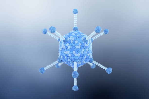 二十面体形状腺病毒科病毒细胞图片下载